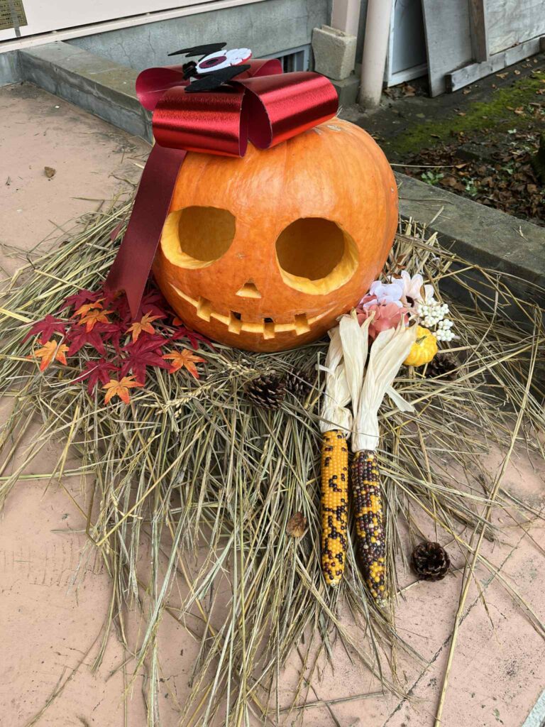 臨海学園_カボチャ