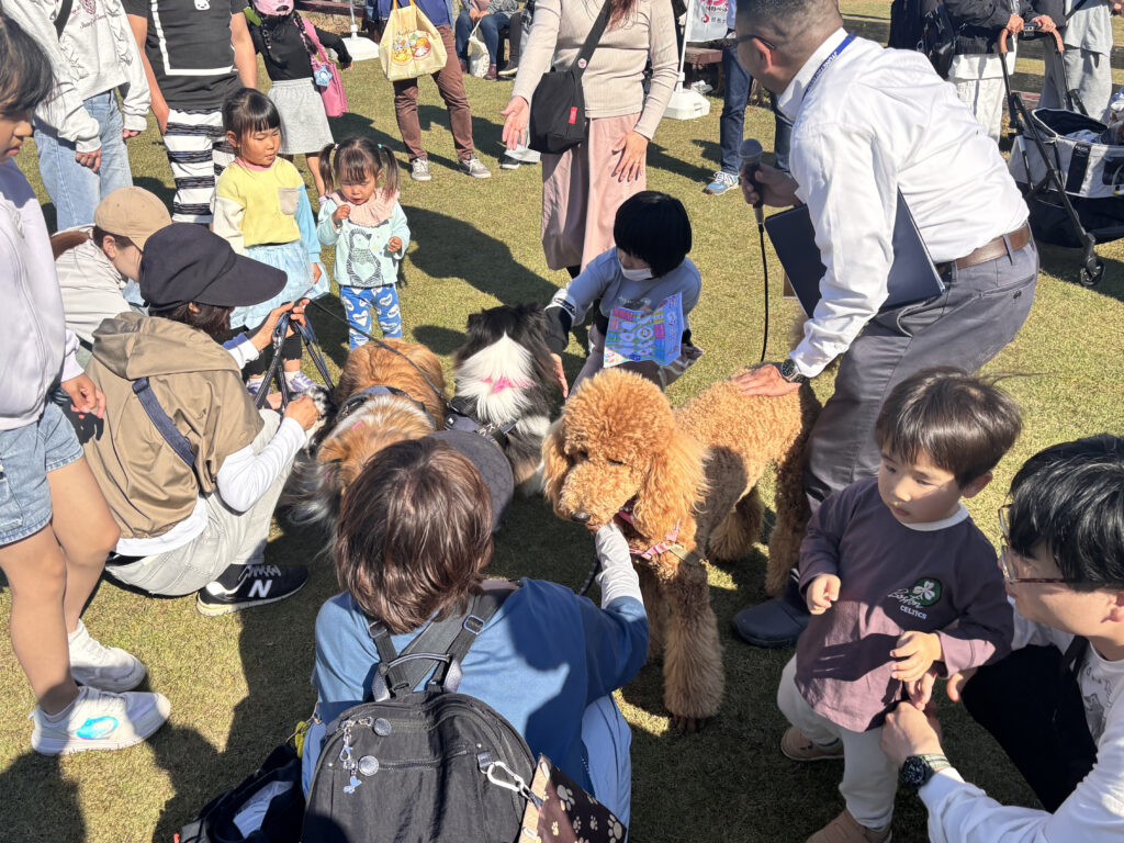 セラピー犬体験