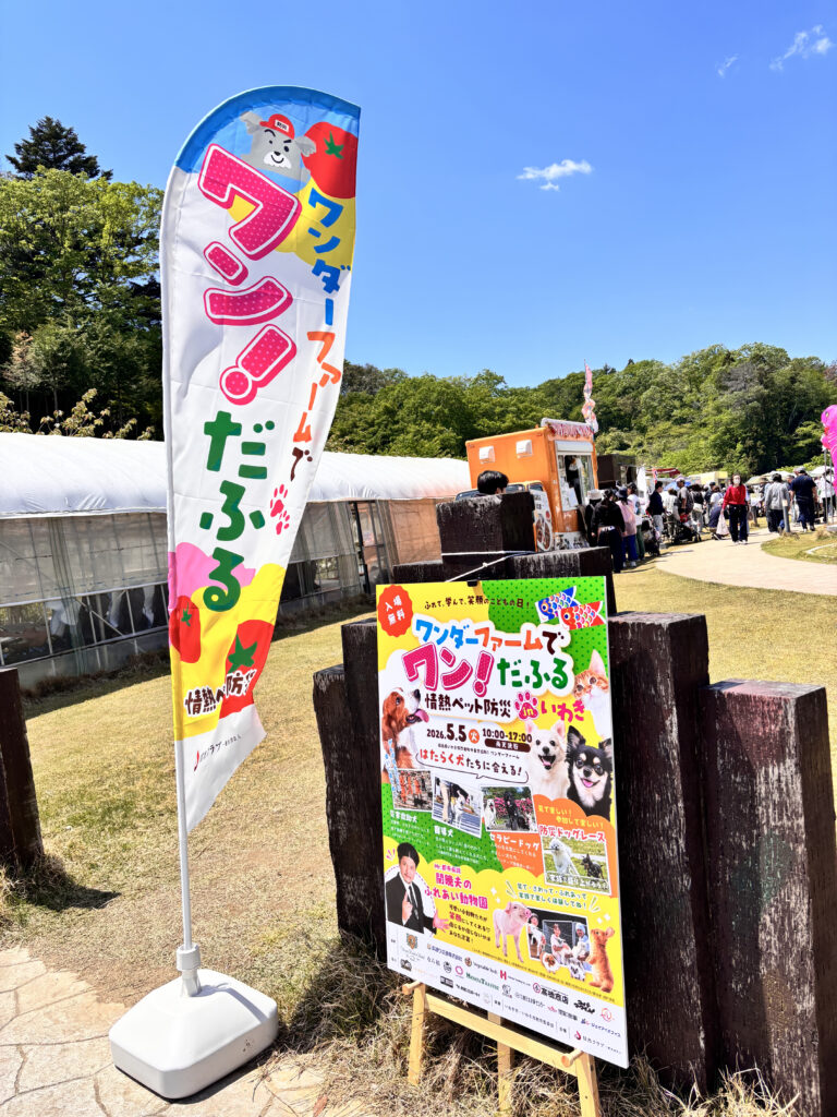 会場の様子