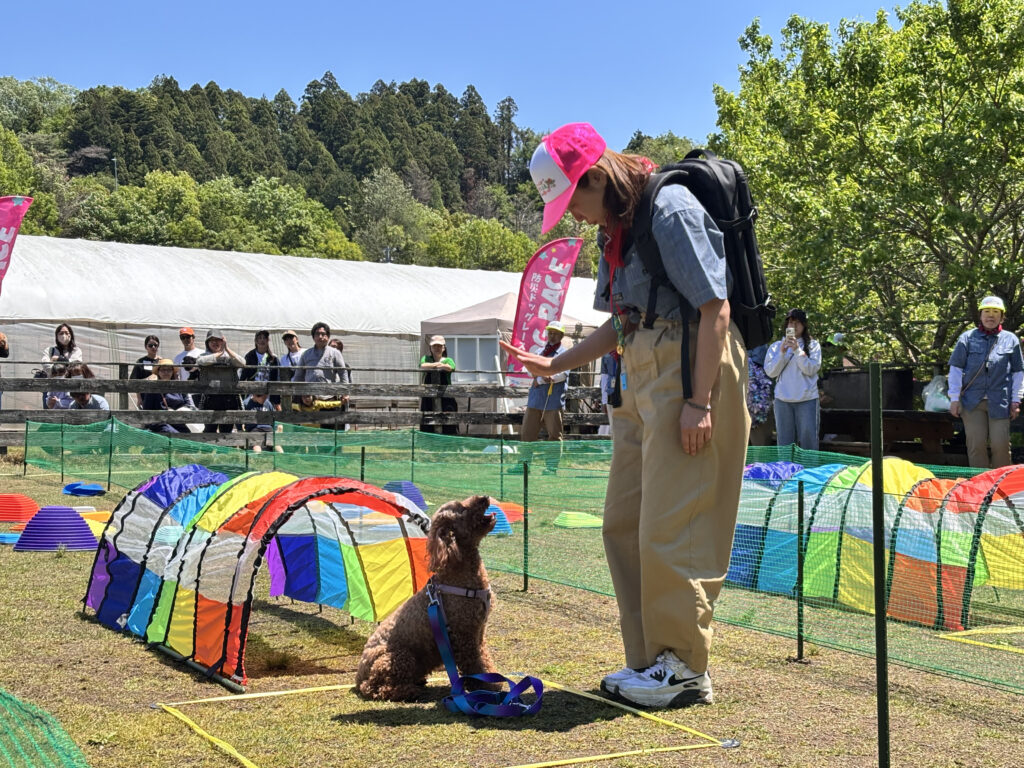 防災ドッグレースの様子