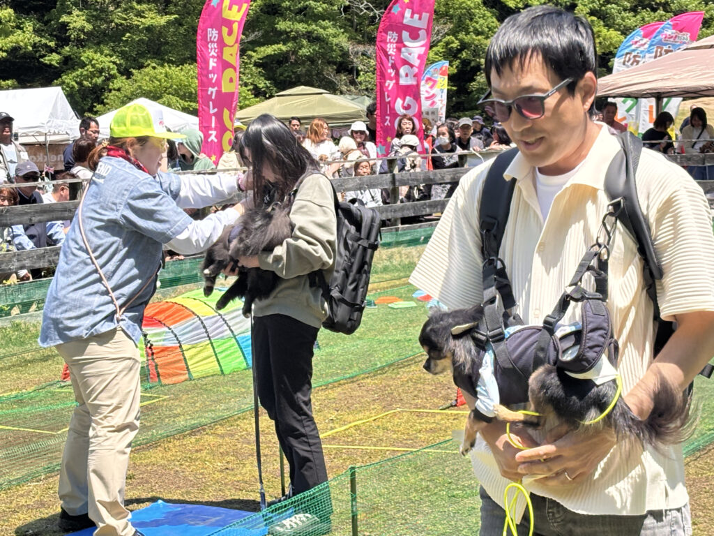 防災ドッグレースの様子