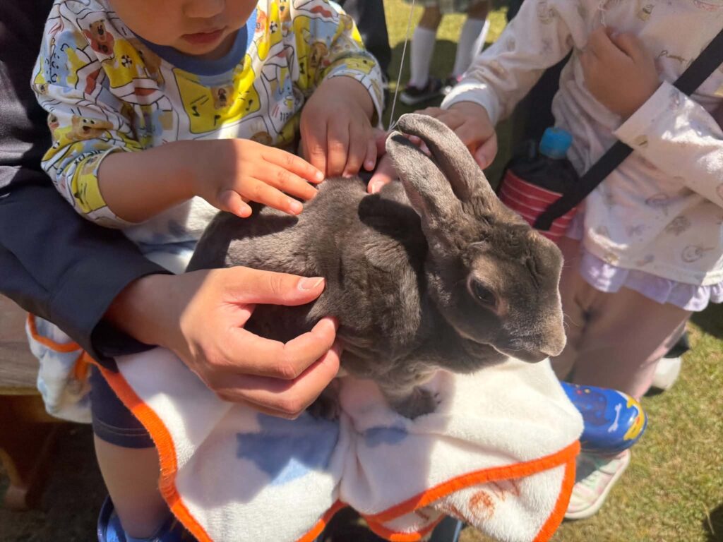 ふれあい動物園の様子