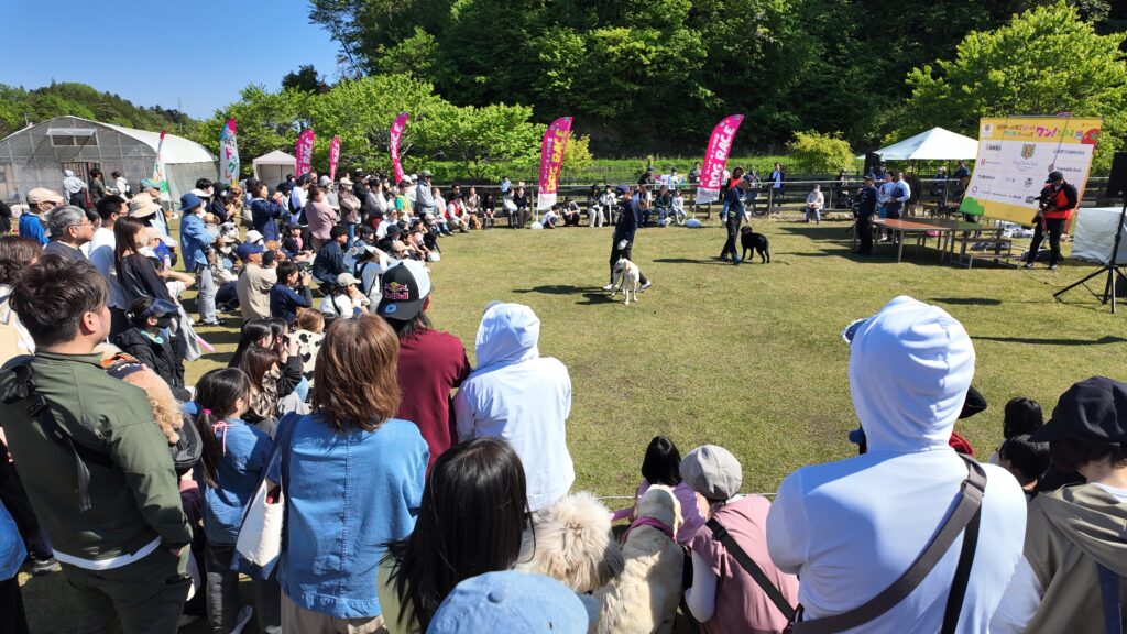 レスキュー犬体験